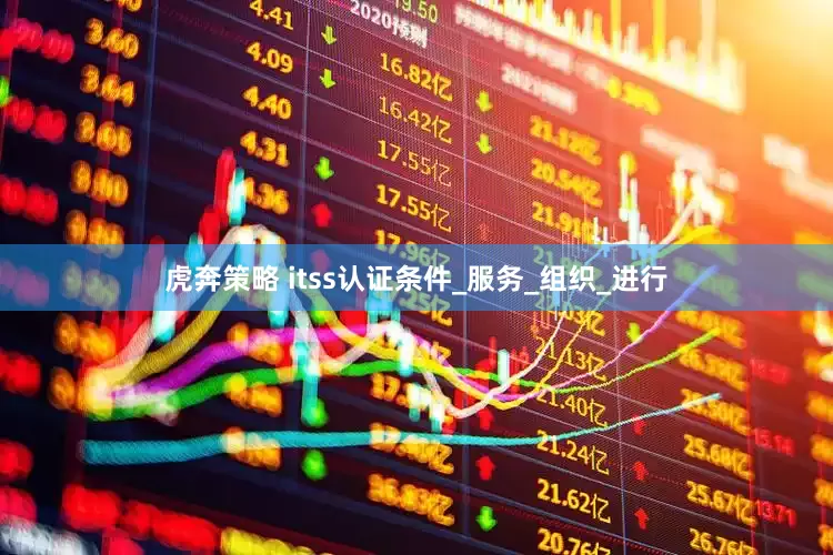 虎奔策略 itss认证条件_服务_组织_进行